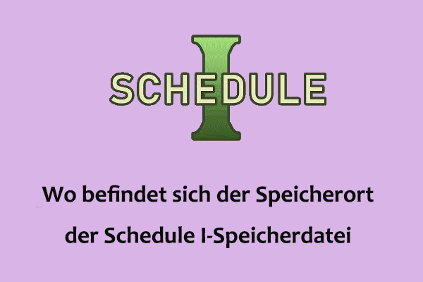 Wo befindet sich der Speicherort der Schedule I-Speicherdatei unter Windows?
