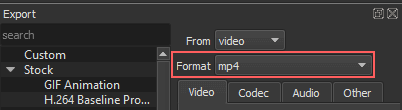 Wählen Sie das Videoformat