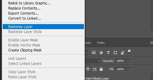 select Rasterize Layer