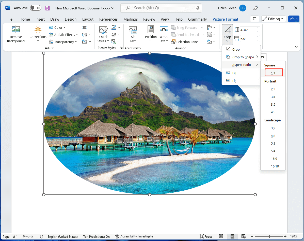 turn oval photo to circle