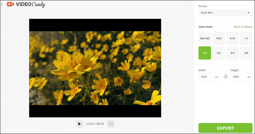 Video Candy