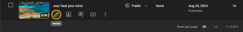 Click the Details icon of the video on YouTube Studio