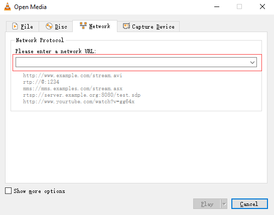 paste the video URL in the box